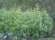 skolky_04 skolky_04