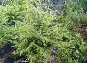 skolky_07 skolky_07