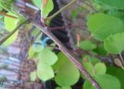 skolky_20 skolky_20