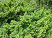 skolky_22 skolky_22