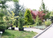 zahradnictvi_39 zahradnictvi_39