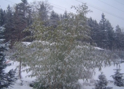 zahradnictvi_59 zahradnictvi_59
